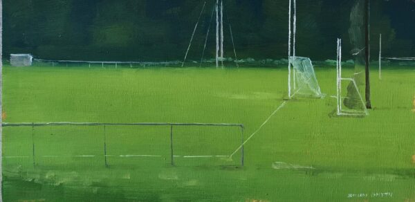 The playing fields at Inistoige
